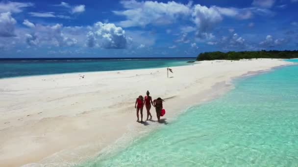 Grupa Przyjaciół Zabawa Walking Playing Tropical Beach — Wideo stockowe