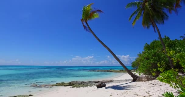 Einsame Palmen Strand Urlaub Australien Ozeanien Sommer — Stockvideo