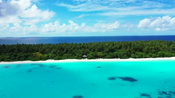 Beira Mar Tropical Turquesa Vibrante Natureza Ensolarada República Dominicana Caribe — Vídeo de Stock
