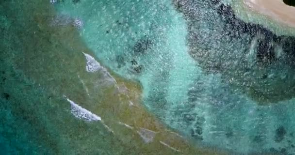 Vue Par Drone Grandes Vagues Course Voyage Exotique Été Australie — Video