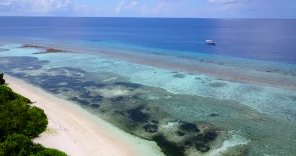 Obszar Przybrzeżny Drona Tropikalna Scena Przyrodnicza Jamajki Karaiby — Wideo stockowe