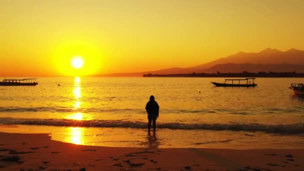 Woman Walking Beach — Stock Video