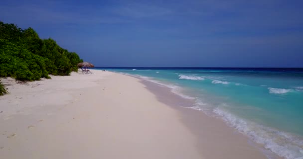 海辺のビーチから見てください ボラのエキゾチックな自然 フランス領ポリネシア — ストック動画