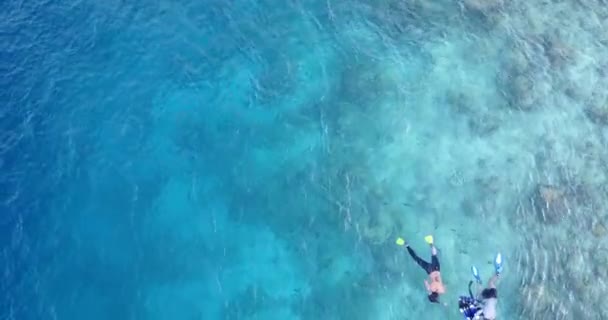在马尔代夫 一对年轻漂亮的夫妇在晶莹清澈的水面上游泳和潜水 享受夏日异国情调的假期 — 图库视频影像