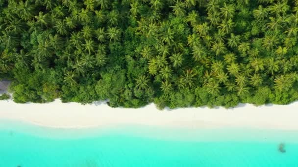 Costa Con Mar Turquesa Árboles Verdes Exótico Viaje Verano Bali — Vídeo de stock