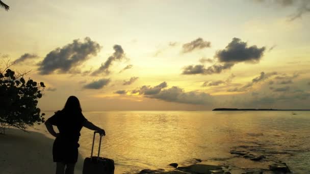 Silhouette Einer Frau Mit Gepäck Strand Bei Sonnenuntergang — Stockvideo