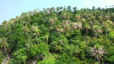 Palmiye ağaçlarıyla dolu mavi gökyüzüne bakıyorum. Endonezya, Bali 'de yaz tatili.  