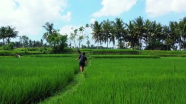 Sırt çantalı bir kadının pirinç tarlasında yürüyüşünün hava görüntüsü.