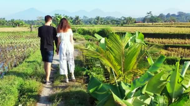 Video Couple Walking Rice Fields — Stock Video