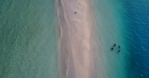 Ilha Tropical Idílica Com Água Cristalina Oceano Bela Natureza Vista — Vídeo de Stock