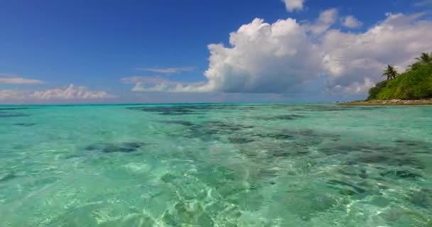 Кристально Зеленая Вода Короткой Линии Летняя Поездка Доминиканскую Республику Карибский — стоковое видео