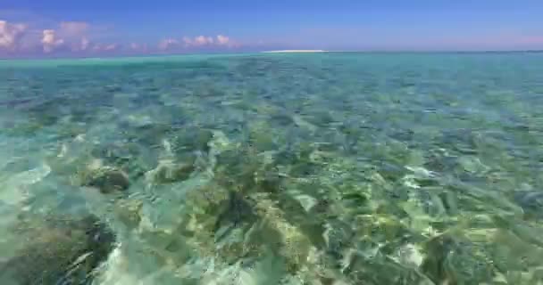 Закрытый Вид Рябь Воды Берегу Летняя Поездка Доминиканскую Республику Карибский — стоковое видео