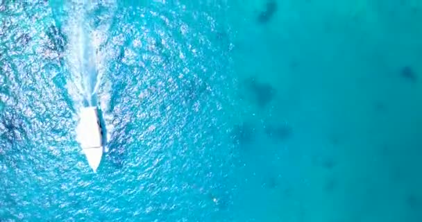 Yate Blanco Que Mueve Mar Azul Tranquilo Vista Superior Situación — Vídeo de stock