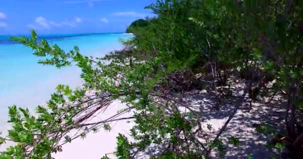 Szene Meer Bei Tag Tropische Natur Der Bahamas Karibik — Stockvideo