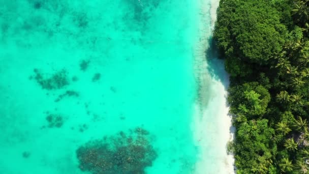 Spokojny Widok Morze Wakacje Bali — Wideo stockowe