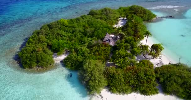 Kleine Insel Mit Üppigen Bäumen Urlaubsangebote Dominikanische Republik Sommer — Stockvideo