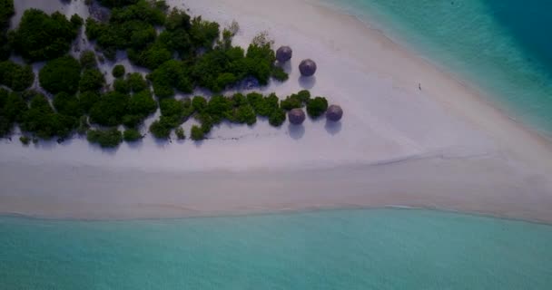 Top View Sand Edge Green Trees Scenery Seychelles East Africa — Stock Video