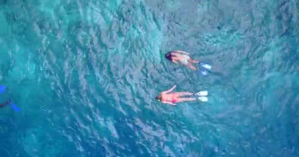 青い海をシュノーケリングする観光客 モルディブでの夏休み — ストック動画