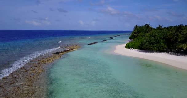 Ρόσκι Στην Ακτή Του Νησιού Καλοκαιρινό Τοπίο Στο Μπαλί Της — Αρχείο Βίντεο