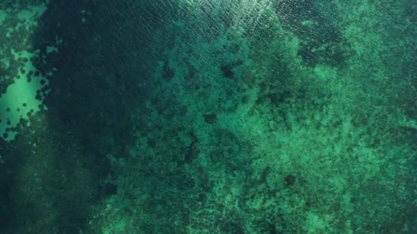 Incrível Oceano Tropical Cristal Água Azul Perto Ilha Conceito Viagem — Vídeo de Stock