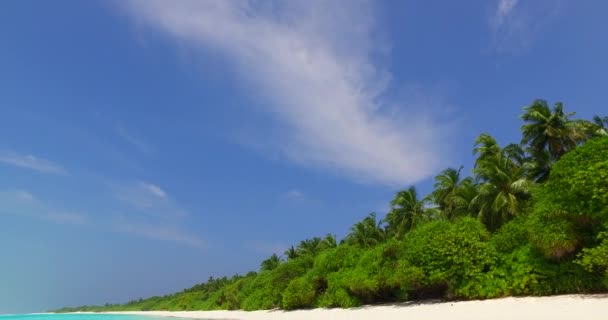 Calma Junto Mar Durante Día Relajación Verano Maldivas Asia Meridional — Vídeos de Stock