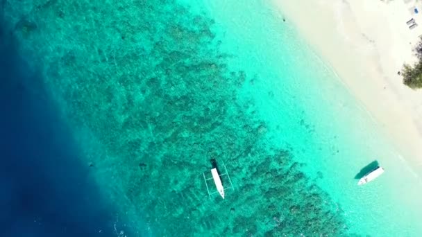 Сцена Морі Екзотична Природа Домініканської Республіки Карибське Море — стокове відео