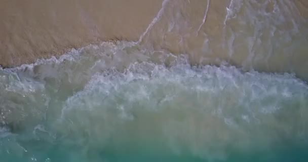 Shoreline Mit Klarem Wasser Exotischer Urlaub Auf Den Malediven Südasien — Stockvideo