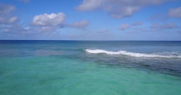 Sahilde Sakin Bir Deniz Bahamalar Cennet Sahnesi Karayipler — Stok video