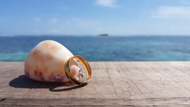 Gouden Ring Met Schelpen Aan Zee Vakantie Bali — Stockvideo