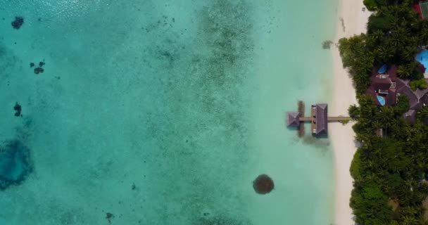 Scena Nad Morzem Dzień Wakacje Bali — Wideo stockowe