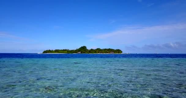 Palmiyeleri Okyanusu Olan Tropikal Bir Ada — Stok video