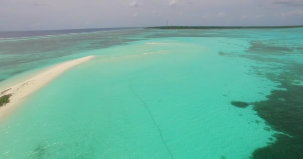 Scena Esotica Estiva Alle Bahamas Caraibi Mare Sereno Nei Colori — Video Stock