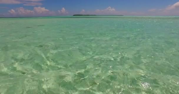在绿水的波纹处近视 多米尼加共和国 加勒比之行 — 图库视频影像