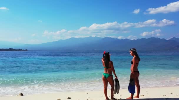 夏のビーチでフリッパーを装備した2人の女性 — ストック動画