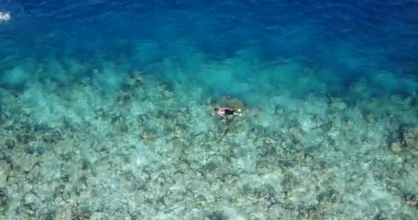 Jovem Nadando Snorkeling Águas Cristalinas Turquesa Mar Caribe Com Belos — Vídeo de Stock