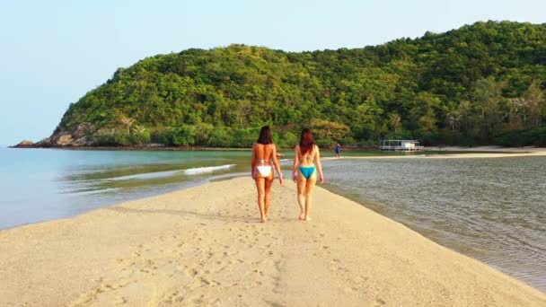 Dos Amigas Jóvenes Bikini Caminando Por Costa Del Mar Día — Vídeos de Stock