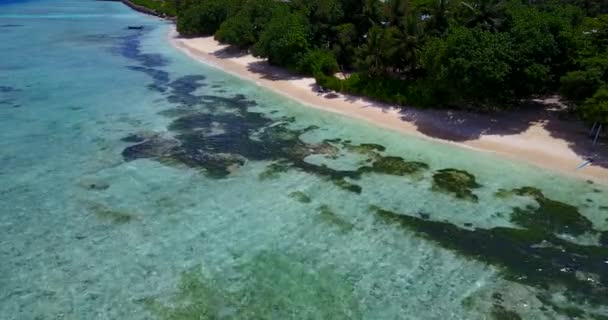 Letnia Wyspa Wirh Wodorosty Morskie Plaży Gili Air Bali — Wideo stockowe