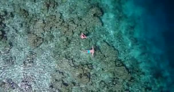 Dno Oglądane Przez Wodę Morską Krajobraz Przyrody Antigua — Wideo stockowe