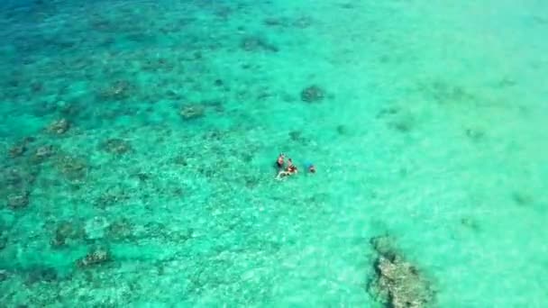 Turistas Buceando Agua Turquesa Paisajes Marinos Verano Maldivas Asia Meridional — Vídeo de stock