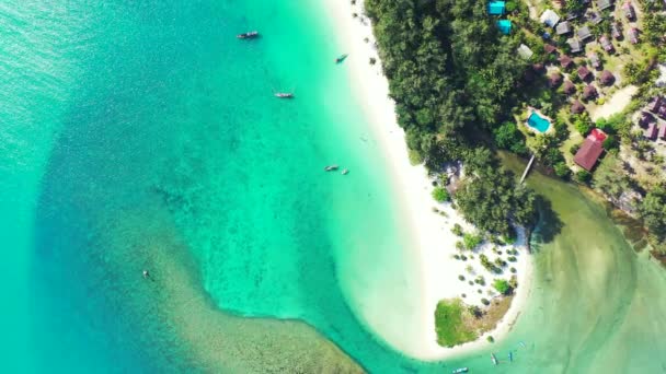 熱帯の島の夏のリゾート ドミニカ共和国 カリブ海のエキゾチックな自然 — ストック動画