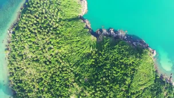 Vista Aérea Bela Praia Turquesa Calma Viagem Exótica Bora Bora — Vídeo de Stock