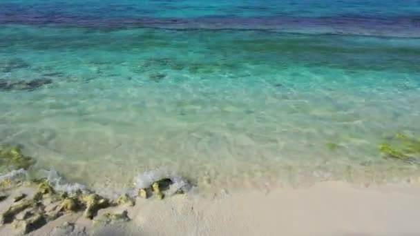 Aguas Poco Profundas Playa Con Algas Marinas Rocas Escena Natural — Vídeos de Stock