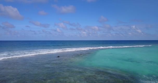 Vista Superior Del Agua Mar Poco Profunda Naturaleza República Dominicana — Vídeos de Stock