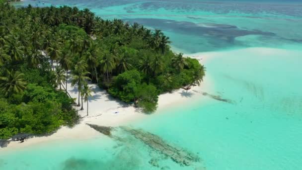 Drohnenblick Auf Grüne Palmen Auf Tropischer Insel Sommerurlaub Auf Den — Stockvideo