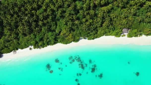 Bovenaanzicht Eiland Met Turquoise Zee Landschap Van Seychellen Oost Afrika — Stockvideo
