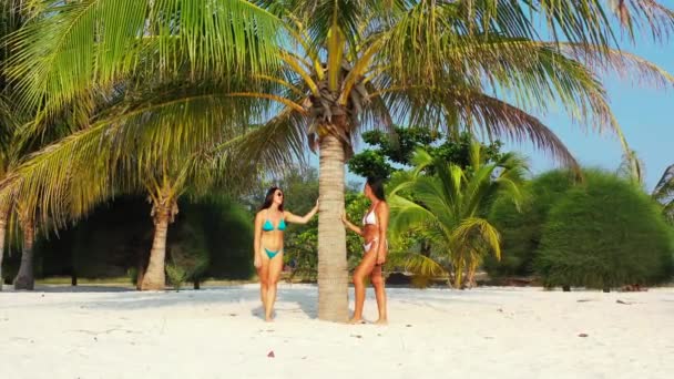 Zwei Junge Freundinnen Bikini Stehen Der Sandküste Unter Palmen Sonnen — Stockvideo