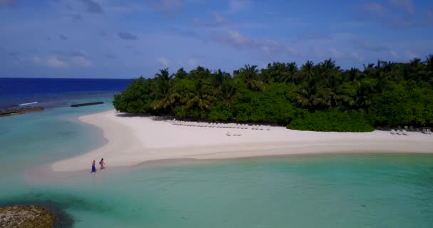 Isola Verde Osservando Vista Natura Delle Bahamas Caraibi — Video Stock