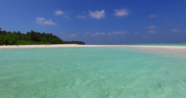 Green Transparent Shallow Water Island Summer Trip Australia — Stock Video