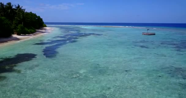 Widok Tropikalne Wybrzeże Tropikalny Charakter Bahamów Karaibów — Wideo stockowe