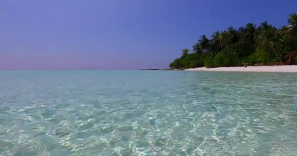 Eau Cristalline Ondulant Sur Plage Paradis Estival Jamaïque Caraïbes — Video